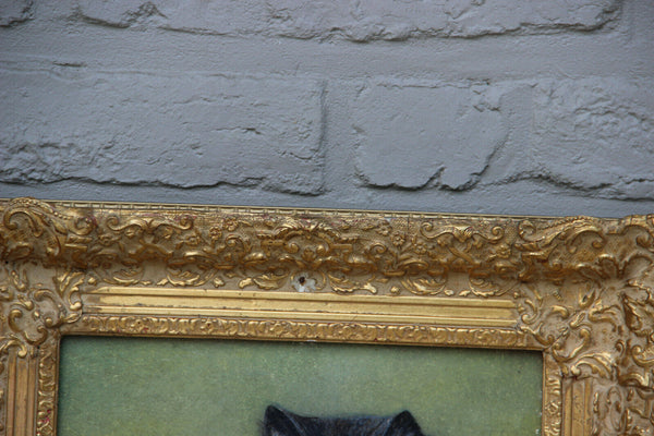 Gorgeous Flemish Oil panel painting of kitten cat portrait signed