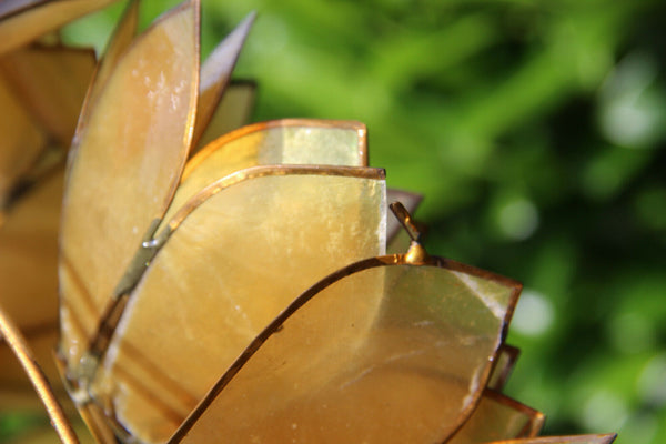 XXL  PAIR Capiz Mother pearl flush mount wall lights lotus flowers by RAUSCH 60s