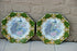 PAIR japanese porcelain peacock floral plates marked