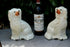 Pair large Staffordshire pottery spaniels dogs porcelain figurines animals