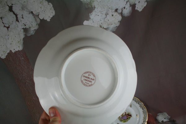 11x French Porcelain dinnerware set Limoges Plates dinner marked