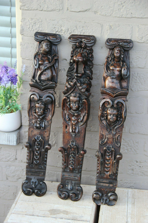 Set 3 black forest Antique wood carved Figurine lion head wall panels plaques