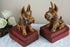 Rare Black Forest Egon Steimer 1920 marked Schnauzer german bookends  wood dog