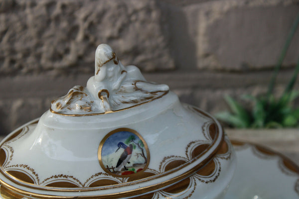 PAIR antique German marked jam bowl porcelain birds decor rare 19thc