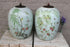 Antique PAIR chinese porcelain jar pot vase peonies birds butterflies 19thc