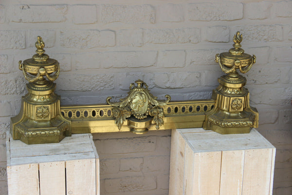 Antique French 19thc bronze fireplace andirons set portrait head louis XVI rare