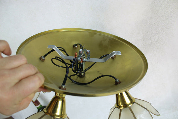 Mid century DEKNUDT Brass mother pear capiz shell flower flush mount chandelier