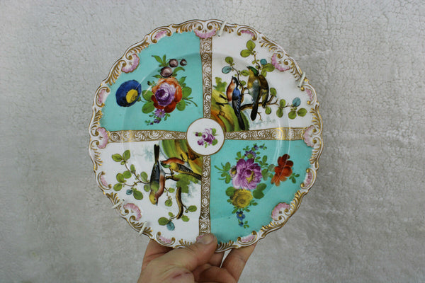 Gorgeous German porcelain Marked hand paint floral birds plate