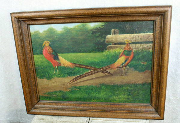 Antique Flemish oil canvas painting 2 pheasant bird male animals