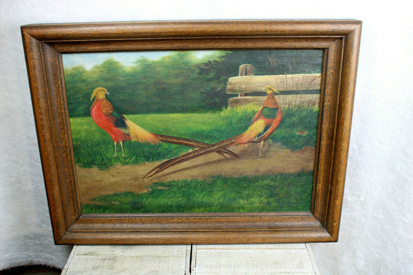 Antique Flemish oil canvas painting 2 pheasant bird male animals