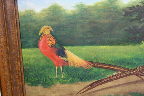 Antique Flemish oil canvas painting 2 pheasant bird male animals