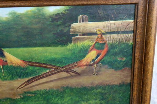 Antique Flemish oil canvas painting 2 pheasant bird male animals