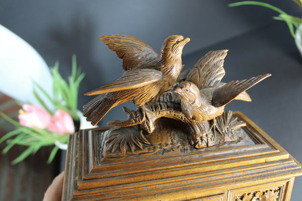 Antique Black forest wood carved trinket jewelry box birds rare