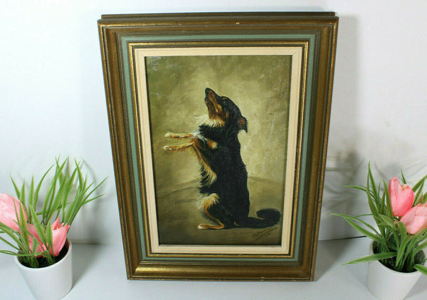 Vintage Flemish oil canvas painting Dog portrait signed 1979