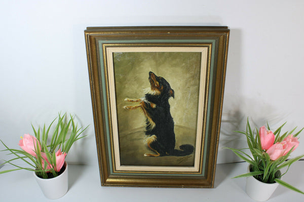 Vintage Flemish oil canvas painting Dog portrait signed 1979