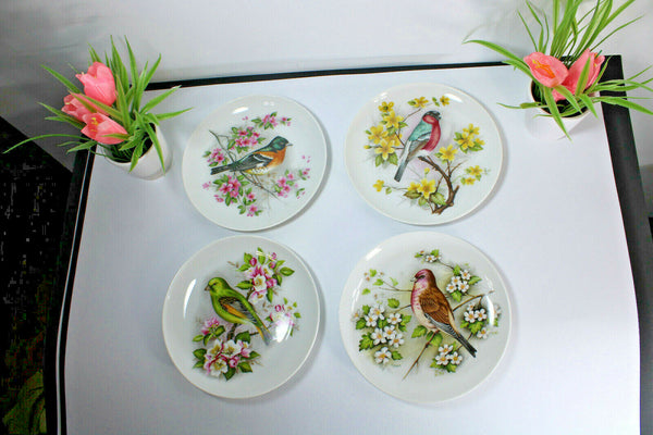 Set 4 Kaiser West germany porcelain birds plates hand paint signed