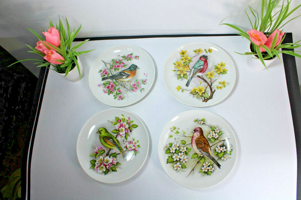 Set 4 Kaiser West germany porcelain birds plates hand paint signed