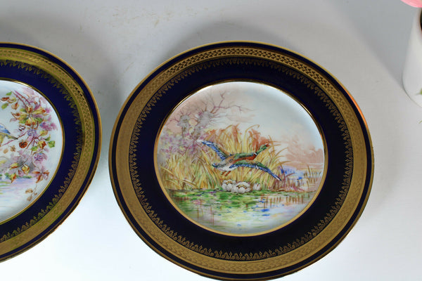 pair vintage limoges porcelain  marked hand paint bird decor plates