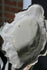 products/61fcba6476393f6bd957d964.jpg