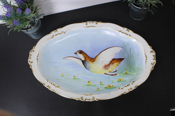 XL Antique LIMOGES marked porcelain hand paint bird tray plate
