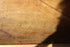 products/6342763560433d7f74443892.png