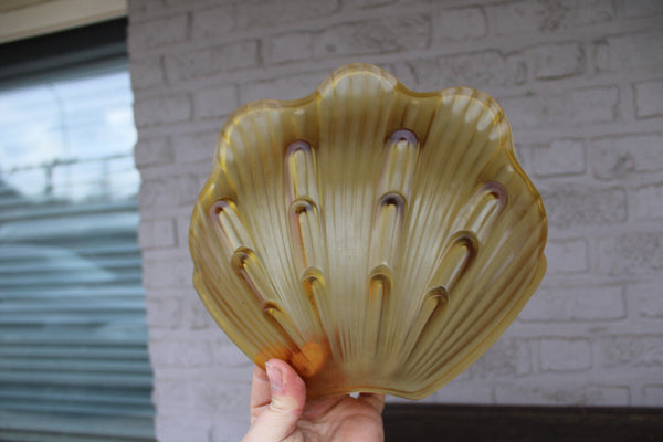 French AMBER CLAM SHELL replacement shade glass for chandelier sconce