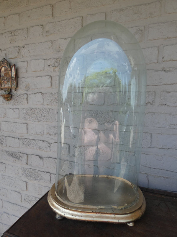 Antique french oval large glass dome globe for taxidermy Clock statue
