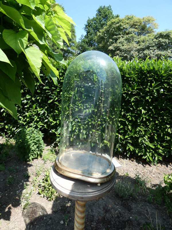 Antique french oval large glass dome globe for taxidermy Clock statue