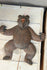 Rare Antique black forest wood carved bear wall strin pull toy