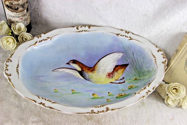 LArge French limoges marked porcelain bird pheasant tableware plate signed