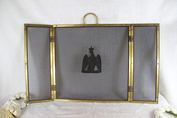 French Mid century 1970 Eagle brass Fireplace screen empire