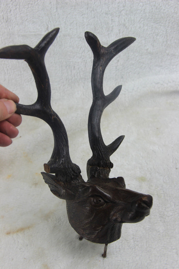 Huge German Black forest oak wood carved hunting trophy Deer dog head 1920s