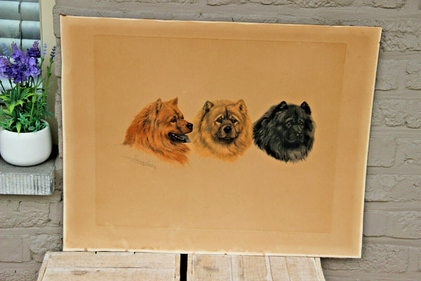 Antique LEON DANCHIN Engraving with chow chow dogs Signed hand coloured