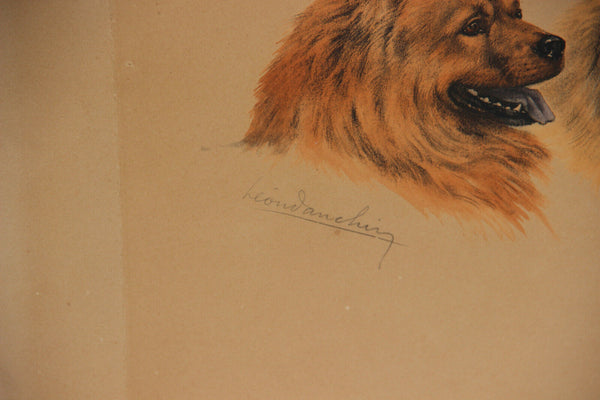 Antique LEON DANCHIN Engraving with chow chow dogs Signed hand coloured