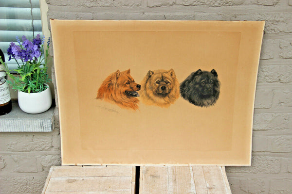 Antique LEON DANCHIN Engraving with chow chow dogs Signed hand coloured