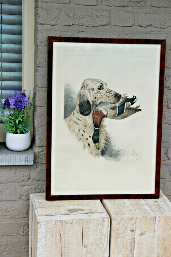 Boris RIAB engraving hand coloured english hunting dog duck signed