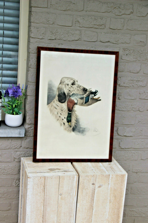 Boris RIAB engraving hand coloured english hunting dog duck signed