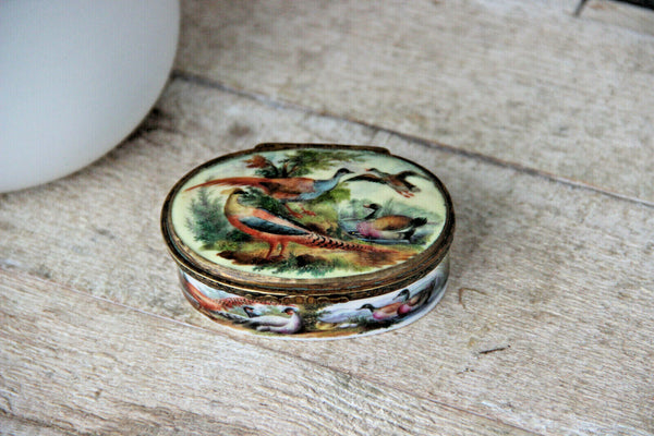 Rare Antique German 18thc porcelain Tabatiere snuff box ducks Victorian