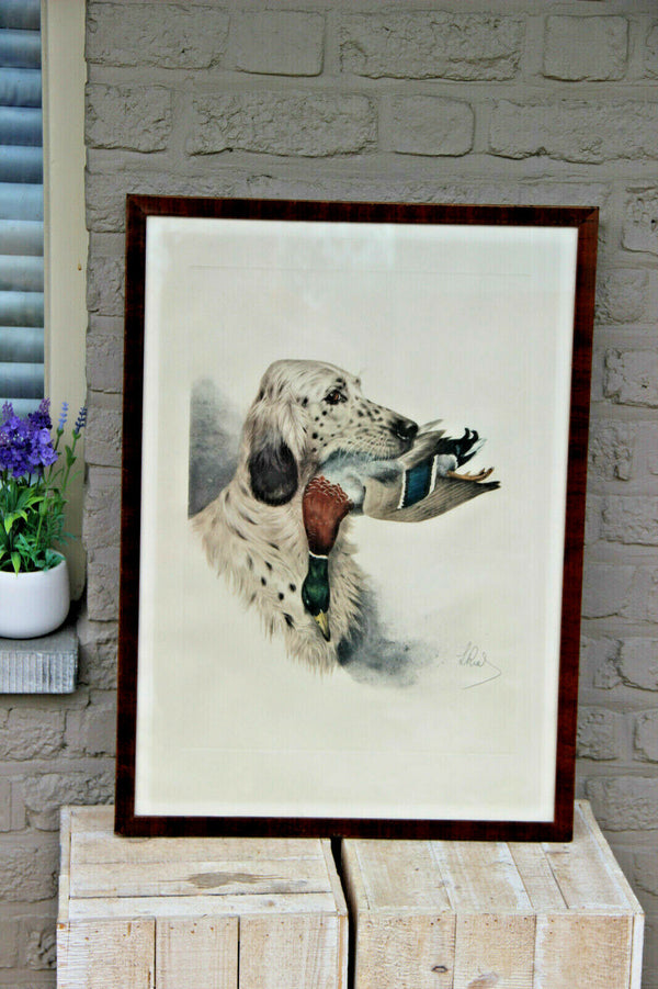 Boris RIAB engraving hand coloured english hunting dog duck signed