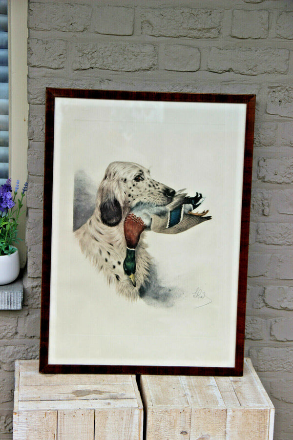 Boris RIAB engraving hand coloured english hunting dog duck signed