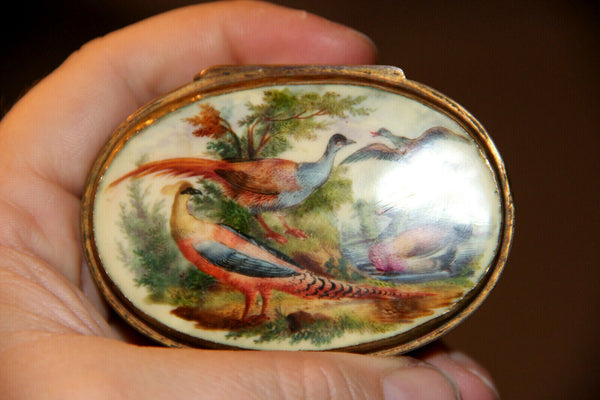 Rare Antique German 18thc porcelain Tabatiere snuff box ducks Victorian